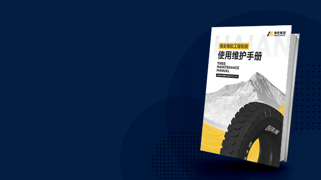 2024年年度报告摘要